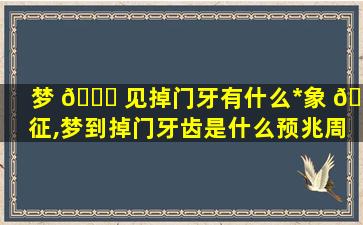 梦 🐒 见掉门牙有什么*
象 🦍 征,梦到掉门牙齿是什么预兆周公解梦